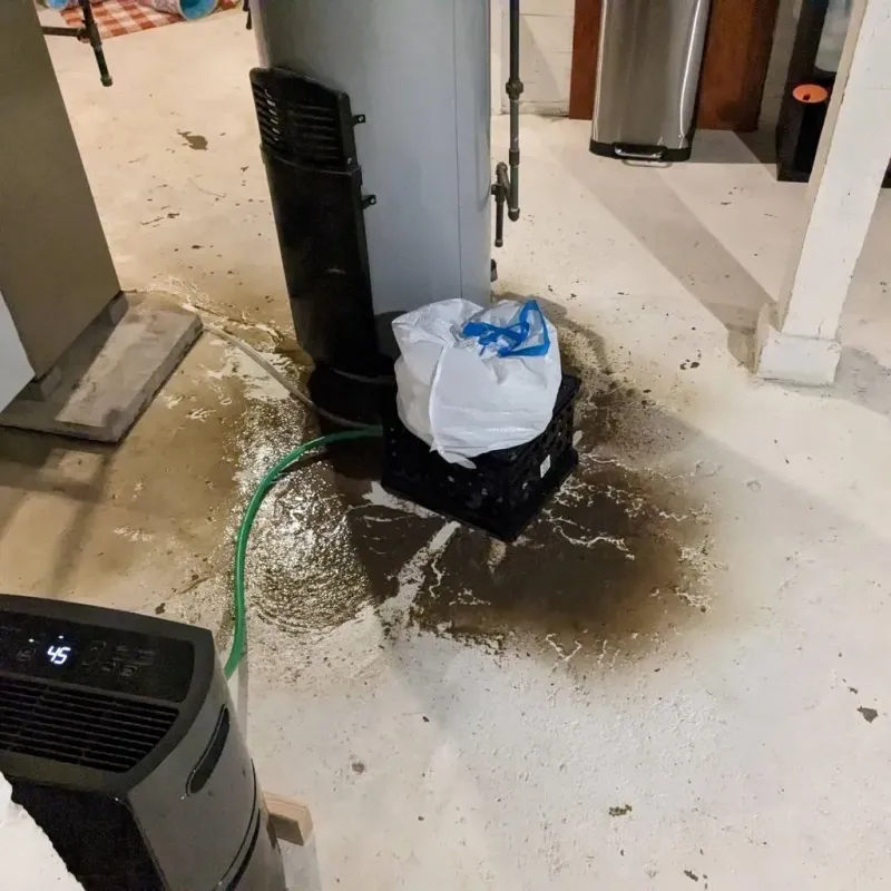 Sewage Backup Cleanup Service in Youngstown, NY